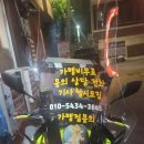 언니도그 이미지