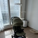 오토프라임 | 내돈내산 유모차 추천, 리안 프라임 맥스 오토폴딩 ; 아보카도 그린, 휴대용유모차