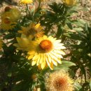 남지초등학교 이미지