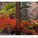 詩가 된 풍경 이미지