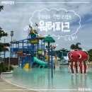 비치파크 | 필리핀 세부 막탄 솔레아 리조트 수영장 종류 워터파크 프라이빗 비치 정보 물놀이 후기