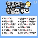 9월 1일(화) 출석부-헷갈리는 맞춤법 퀴즈 이미지