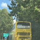 모란공원 입구[월산-1] 이미지