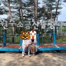 간현관광지(레일바이크) | 원주 소금산 출렁다리 &amp; 울렁다리 준비없는 트래킹 후기