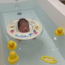 로열프린세스산후조리원 네이버블로그