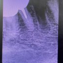 최정원치과의원 이미지