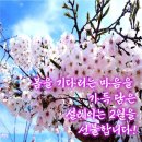 봄을 기다리는 마음 이미지