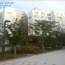강남-260 이미지