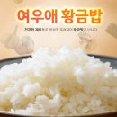 여우애김밥 - 파주시 책향기로 830 | 여우애김밥