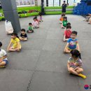 태아일체 태권도장 이미지