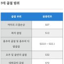 5대골절진단? 이미지