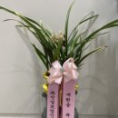 과천성모정신건강의학과의원 이미지