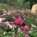 함박공원 입구 이미지