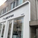 퍼피루스 이미지