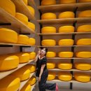 임실N치즈축제 제전위원회 | 2025 임실치즈축제 다녀옴! 임실 치즈축제vs산타축제