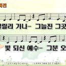 새로운 비전