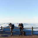 노고단-14 이미지