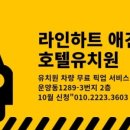 라인하트 애견호텔 유치원 네이버블로그