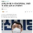 이미지-또 하나의 이미지