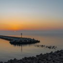 제주도해진횟집탑동본점 이미지