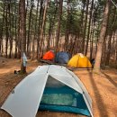 [공지] [호잣캠]호명산잣나무숲속캠핑장 스테이와일드트레일+백패킹 후기🏕️