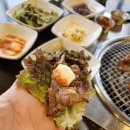 산애들애 이미지
