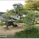 광활동산공원 티스토리