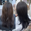 까리따스유치원 | 제주 아라동 미용실 뷰먼트 제주아라점에서 지유 디자이너쌤한테 겨울맞이 톤다운 염색후기