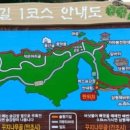 다운솔향기