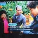 6시내고향 네이버블로그