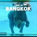 (주)동안판매 | 태국 방콕자유여행 아이랑 가본 카오키여우 오픈주 후기