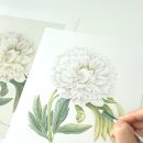 [직장인]식물세밀화 색연필 보타니컬아트(수)19:00 | [분당서현판교 | 린보태니컬아트 | 성인취미미술] 클래스 11월 리뷰