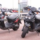 수정-115 이미지