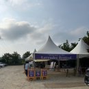 꽃무지에원팜 | 강원 고성 하늬라벤더팜 라벤더축제 개화 현황, 축제 정보(26.06.16 방문)