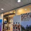 원스피티 이미지