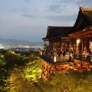 교토 - 강남구 도곡로 111 | 교토