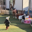 도도펜션 | 경기도 가평 키즈 펜션 도도 후기, 좋았던 점과 솔직한 아쉬움