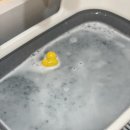 랜드부산