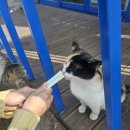 종로-신교-종로-신-142 | 52