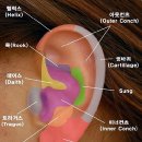 인도나라 이미지