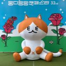 캣스쿨 | 2025년 부산 궁팡 궁디팡팡캣페스타 첫날 다녀온 후기