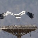 황새마을 이미지