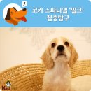 위드펫(with pet) 이미지