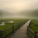 구름위산책 이미지