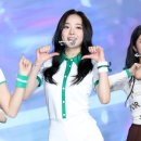 앨리스 이미지