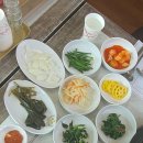 연근염소 이미지