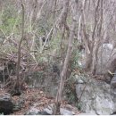 전원펜션 이미지