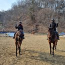 퀸즈승마장 이미지