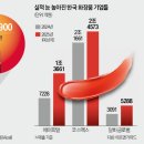 주주뷰티