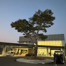 울산골프존 | 울산 울주 골프존카운티 더골프 야간 라운드 후기! 예약, 골프장 정보 등